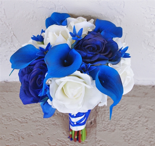 Beautiful Blue Flowers in the world